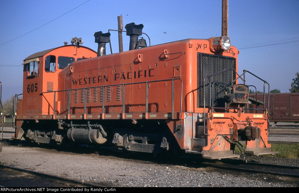 WP 605 in pumpkin